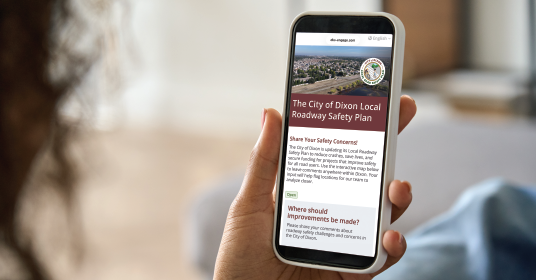 Person looks at a smartphone that is displaying the main page for the Dixon LRSP